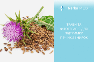 Трави та фітотерапія для підтримки печінки і нирок